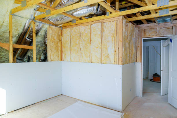 Best Insulation Removal  in Desloge, MO
