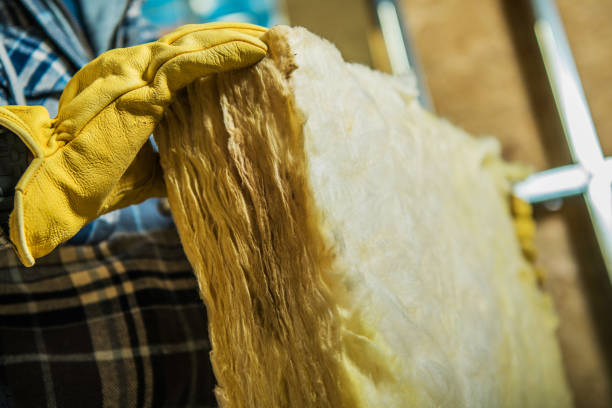 Best Residential Insulation Services  in Desloge, MO