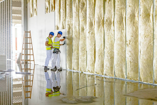 Best Residential Insulation Services  in Desloge, MO